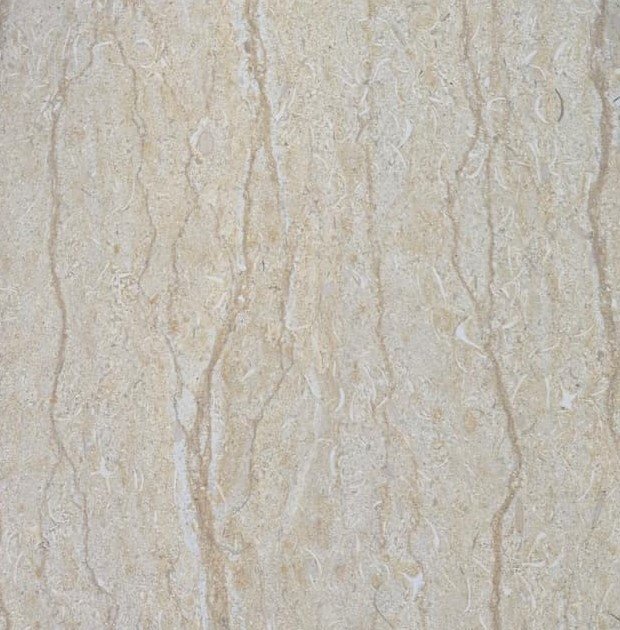 Silvia Marble Slabs & Tiles